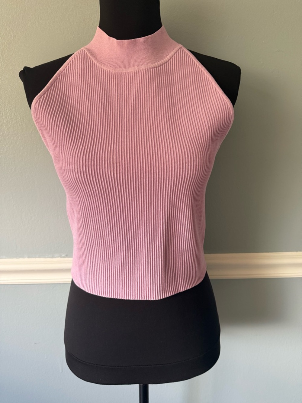 Babaton Pink Ribbed Halter Crop Tank